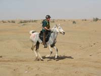 /international/2006Walvisbay/images/Loop2/thumbnails/loop2 050.jpg
